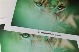 Canson Recycled Pro Matt 190 g/m²  - 60" x 30,5 meter